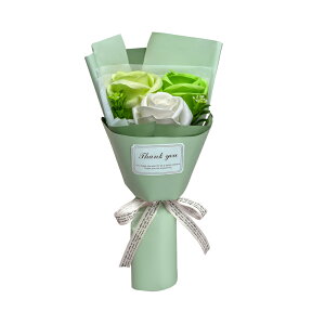 \[vt[ ԑ ʔ tFA[ 3 u[P A[eBtBVt[ AW AWgt[  t[AWg  Mtg t[Mtg a ̓ 