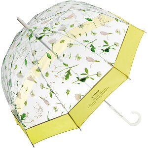 rj[P  65cm yV P 傫 傫 P fB[X v uh wpc JP h[^ OXt@Co[ plantica veBJ ԕ t[ 65Z` 8{  ]ʃvg 