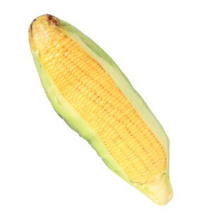   ʂ yV ybggC Ck  V I` p ߋ lV ^ ^ ^ q   v ЂƂ V 킢 l`  ybgpi ybgO