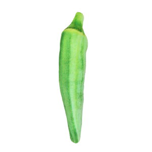   ʂ yV V I` Ck  ybggC p ߋ lV ^ ^ ^ q   v ЂƂ V 킢 l`  ybgpi ybgO