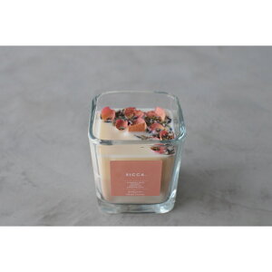 A}Lh uh yV tOX Lh 낤 E\N LhCg [tOX F  A} bNX  RICCA bJ  킢 K