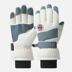 XL[O[u fB[X Y yV 5{w  Xm[O[u XL[ O[u N X}zΉ ۉ ~ ׂ~ g   Xm{ Xm[{[h h h