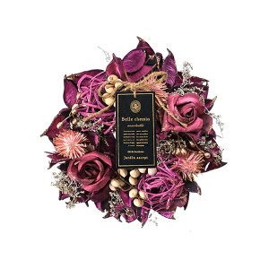 [X  SS yV uU[ht[ t[AWg  J[[X Mtg t[Mtg  CeA ֏ IV 킢  rO  