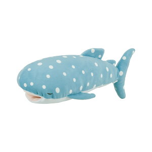 ˂ނ˂  v~A S yV STCY ʂ N[܂ ܂ Ђ ⊴  Aj} s[   ӂӂ Q bNX ibv VGX^ ˂ނ