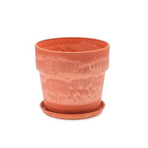 Aؔ vX`bN  5 yV v^[Jo[ 5 v^[ Jo[ A |bg A A[ovc|bg y y ϗtA  󂯎Mt ꌊ PLUS the green  