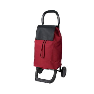 ココロ ショッピング カート 楽天 キャリーバッグ cocoro 買い物カート ショッピングカート 2輪 保冷 保温 タイヤ 取り外し フラップ コンパクト 収納 カートにかけられる 買い物 おしゃれ オ