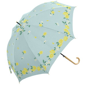 P fB[X l yV JP P Jp Jp  JT P 60cm JpP Vo[R[eBO WvP UVJbg OJbg 唻 傫 OXt@Co[ v wlP 