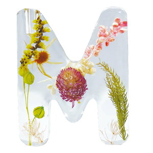 BOUTE {Ee CjVtOXfBt[U[ yV tOX tOXfBt[U[ fBt[U[ [hfBt[U[ XeBbN  킢 IV  