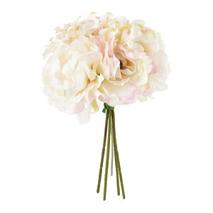 u[P  yV A[eBtBVt[ ԑ  sIj[ CeA A[eBtBVO[ A[gt[ tFCNt[ tFCNO[  lHϗtA ԍ F