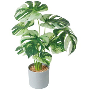 ϗtA tFCN ^ yV lHϗtA A[eBtBVO[ CeAO[ tFCNO[ 傫 A |bg  rO ItBX X  V z