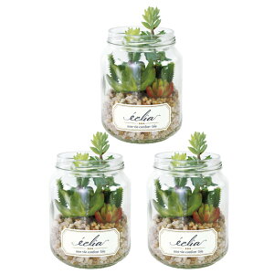 ϗtA tFCNO[ yV ECLIA GNA CTG} LA[eBtBVO[ 3Zbg   CeAO[ Eh|bg LjX^[ CeA lHA 