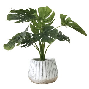 G} lHϗtA yV CeAvc CeAO[ C~e[VO[ tFCNO[ |bg  A  L R hJr  u C~e[V  