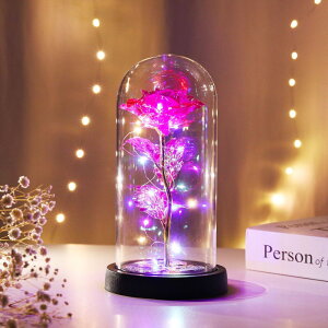 KXh[ Cg yV  u KX h[Cg t[Cg ドCg LED t[   o  킢 dr   蕨 IuWF LEDCg ̓ LO