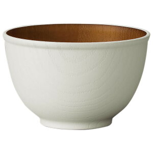 ؖ {E yV HΉ o `o T_{E { dqWΉ Ebh   IV 킢 ꂪ₷ T_ X[v JtFH X^bLO j