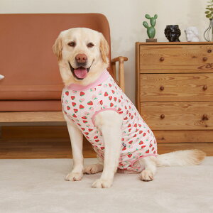 p㕞  yV ی pEFA O㑫 Ckp㕞 Ȃ ^ rߖh~ D   hbOEFA p㒅 ʋC pJo[ 앞 jp ̕ 킢  