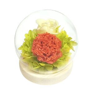 KXh[ CeA AWg yV t[Mtg vU[uht[ vU[ht[ t[AWg ̂ЂTCY h[ Ԋt v`Mtg  t[