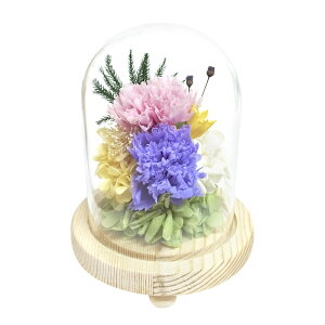 KXh[ CeA AWg L yV   vU[uht[ vU[ht[ t[AWg  h[ Ԋt  ~  t[ ͂Ȃ 