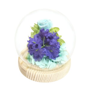 ������ �K���X�h�[�� ���{ ���� �y�V ������ ���� �v���U�[�u�h�t�����[ �v���U�[�h�t�����[ �t�����[�A�����W�����g ���� ��̂Ђ�T�C�Y �h�[�� �h�[���^�C�v ���d�p ���~ �� �t�����[ ��