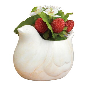 G} }[u|bg yV Aؔ |bg v^[ {E|bg tFCNO[  ϗtA A   CeAO[ L G}H R hJr i`  