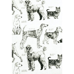 }`Jo[ \t@[  ʔ  xbhJo[ \t@Jo[ ډB J[e rfIc wi Vv  Rbg Ch VbN mg[ MONO CXg t@ubN KEY STONE 