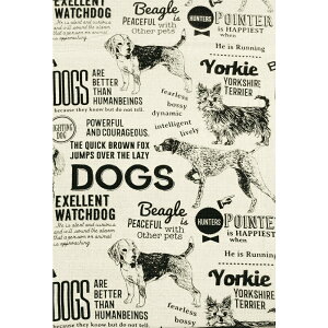 }`Jo[ \t@[  ʔ  xbhJo[ \t@Jo[ ډB J[e rfIc wi Vv  Rbg Ch VbN mg[ MONO CXg t@ubN KEY STONE 