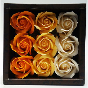 \[vt[ yV   {bNXt[ \[v t[ oXt[ V{t[   t[Mtg ͂Ȃ   {bNX  킢 LO a 