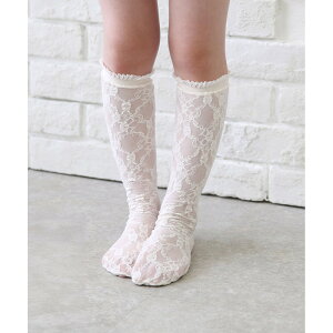 C LbY ̎q nC\bNX yV A[XnC\bNX 46012102 \bNX C tH[}   w Ǝ   IV 킢 bOEFA t@