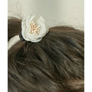 t[ wAS LbY yV qp  q qǂ ǂ wA S ̎q  w Ǝ sAm\  킢  ܎O   tH[} wAAW 