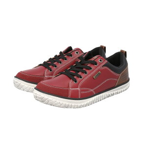 EDWIN Xj[J[ EDW7769 GhEB yV EH[LOV[Y [JbgXj[J[ y L Y ₷ V[Y RC C  Nc JWAV[Y  킢 Vv