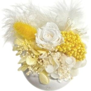 uU[ht- yV 킢  t[Mtg   t[AWg j Vzj  rO ʏ gC t[ zj ސE ސEj CeA