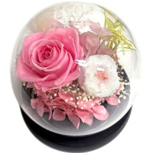 uU[ht- yV KXh[ KX t[AWg t[Mtg   킢  t[ j Vzj  rO zj CeA ސE 