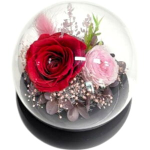 uU[ht- yV KXh[ KX t[AWg t[Mtg   킢  t[ j Vzj  rO zj CeA ސE 