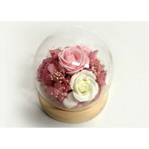 uU[ht- yV   t[Mtg KX KXh[ t[AWg t[ 킢  zj j Vzj  rO ސE ސEj C