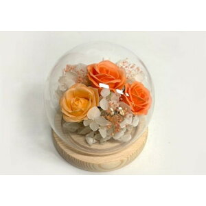 uU[ht- yV   t[Mtg KX KXh[ t[AWg t[ 킢  zj j Vzj  rO ސE ސEj C