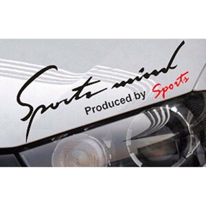  XebJ[  yV JbeBOV[g O 4.8×14cm Ԃɓ\XebJ[ SSTCY J[ANZT[ ANZT[ N} TCh {lbg A V[ fJ[ ԃANZT