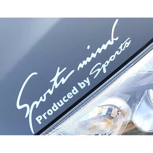  XebJ[  yV JbeBOV[g O 4.8×14cm Ԃɓ\XebJ[ SSTCY J[ANZT[ ANZT[ N} TCh {lbg A V[ fJ[ ԃANZT