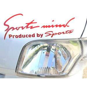  XebJ[  yV JbeBOV[g O 10×30cm Ԃɓ\XebJ[ LTCY J[ANZT[ ANZT[ N} TCh {lbg A V[ fJ[ ԃANZT