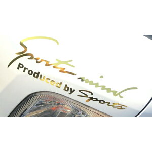  XebJ[  yV JbeBOV[g O 10×30cm Ԃɓ\XebJ[ LTCY J[ANZT[ ANZT[ N} TCh {lbg A V[ fJ[ ԃANZT