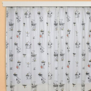 [XJ[e 2g LN^[ yV  100Z` 198×100 2Zbg 100 198 100 198 J[e [X Zbg  UVJbg ՔM 􂦂  OJbg q ̎q j̎q l 