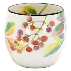 ۂ  yV Jbv H { ̂  Ԃ̂  ̂ aH Rbv M dqWok t[Jbv  IV ی^ ZĂ Lb`G a j 