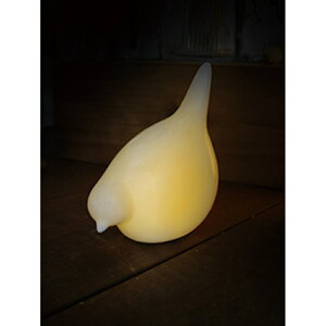 Cg  u^ yV Z~bNCg [ LEDCg LED LUMO l킢 IV e[uCg Z~bN CeA  R[hX Q L q Vv Rp