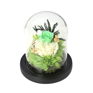 vU[uht[ KXh[ yV  uU[ht[ vU[ht[  dp  ͂Ȃ ~ ʉ Ԋt t[Mtg v[g a ސEj ̓ 