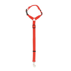 p V[gxg yV Sxg ԗp [h n[lX  hCu ^ яoh~ L ybgObY hCuObY J[pi ybgpi pi n[lX ȒP