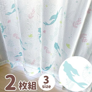 [XJ[e 2g yV fBYj[  sN 킢  ̎q j̎q gCXg[[ vcF }CfB 100×133 100×176 q 2Zbg l  􂦂