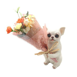  Mtg D]  u[P ctG} GAN[i[ R L C ~j t[Mtg CeA u G hV̓ ̓ ̓ v[g v`Mtg ۘaf