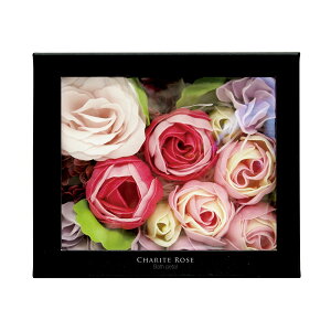  Ve[Y CHARITE ROSE Ve[YoXy^ bNX ґ  yV [Y v[g Mtg oXy^ j  AC A}  킢 ouoX oXp