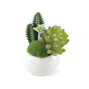 A T{e tFCN yV TLgtE CTG} LA[eBtBVO[   CeAO[ 񂹐A |bg tFCNO[ CeA l