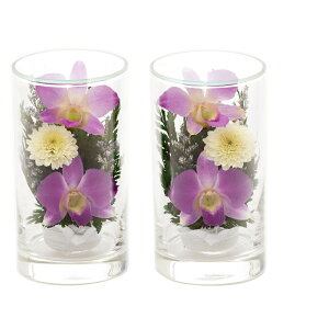 vU[uht[  P[X yV ͂Ȃ {gt[ OXt[ 12cm Ϗܗp    ~ ފ  @ @v { Mtg