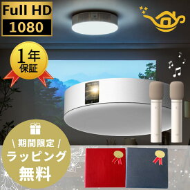 【 即日発送！！】 Aladdin X2 Plus アラジン マイク2 セット Aladdin Mic2 Set ポップインアラジン 2 プラス popIn Aladdin Aladdin MIC 家庭用 スピーカー フルHD