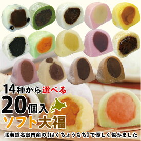 スイーツ 大福 あんこ 送料無料ふうれん特産館の14種から選べる 特大！ソフト大福 20個セット（5個x4種）塩豆、よもぎ、白、赤、かぼちゃ、ごま、メロン、ミルク、巨峰、玄米、いちご 他(1個90g) 大福餅 風連 もち 餅 北海道【ギフト・熨斗不可 】